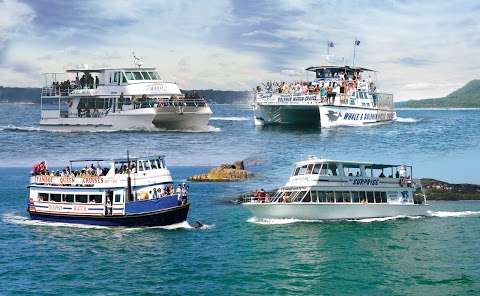 Photo: Port Stephens Dolphin Watch Photo: Port Stephens Dolphin Watch